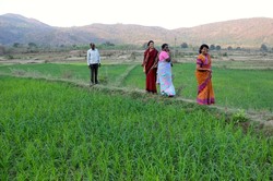 Tucked below the mountains where forest dwelling Adivasi people live, these farmers are learning about organic farming methods used in Srikakulam district of Andhra Pradesh