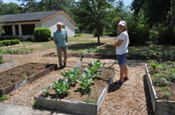 People working on a community garden.