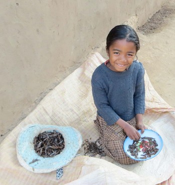 A young girl prepares locusts for supper in the Tsiroanomandidy area of Madagascar