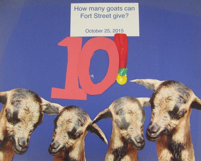 10 Goat Goal