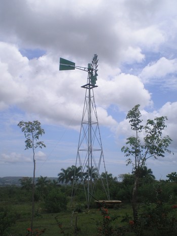 Windmills draw water from deep wells at Demari.