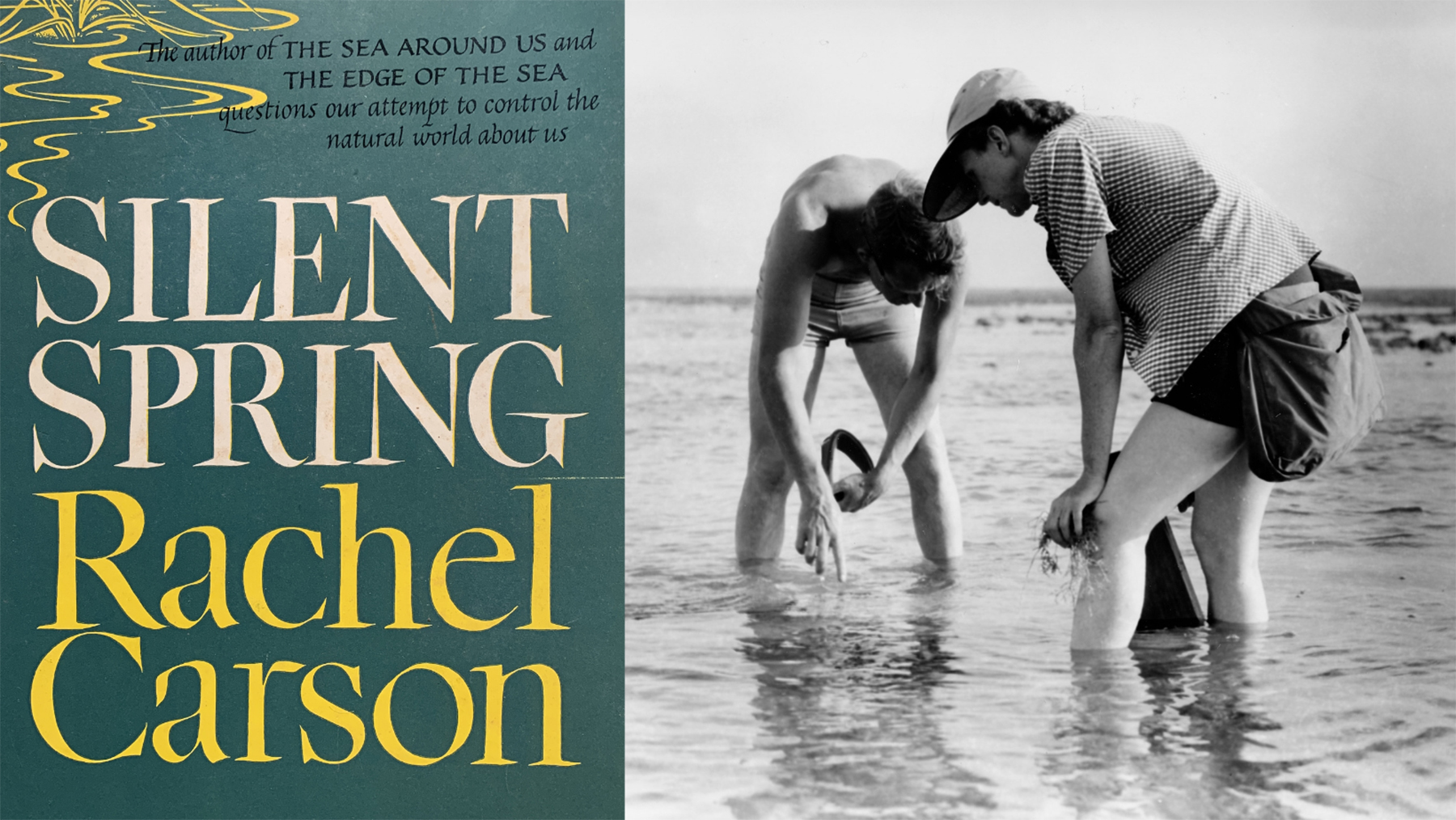 Left: Book cover for Silent Spring, by Rachel Carson. Right: Carson conducts Marine Biology Research with Bob Hines in the Atlantic, 1952, image via Wikimedia Commons.